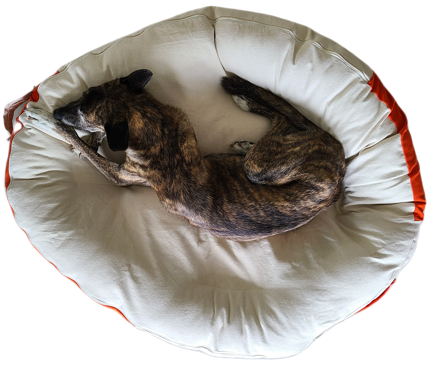 Large Hypoallergenic Nest dog bed and cradle