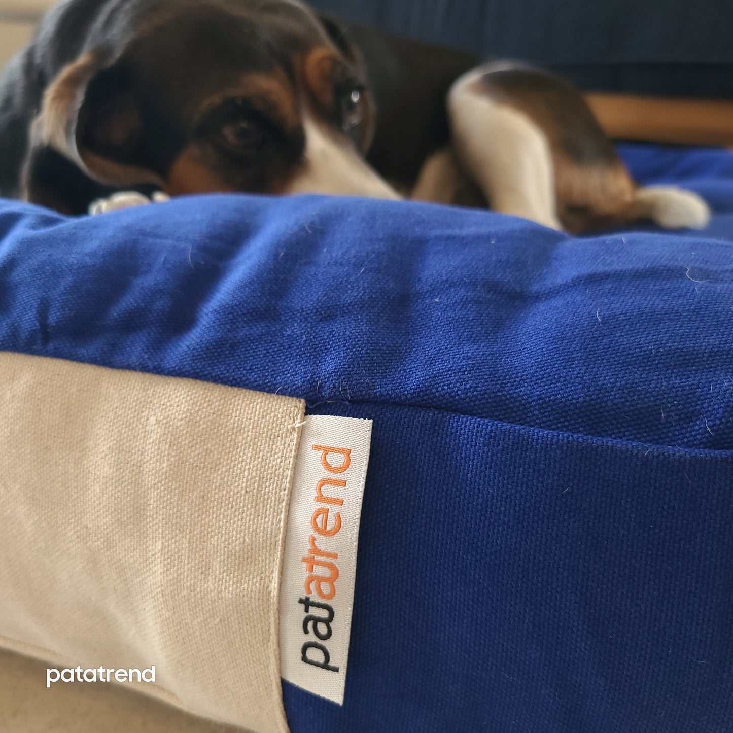 Large Hypoallergenic Nest dog bed and cradle