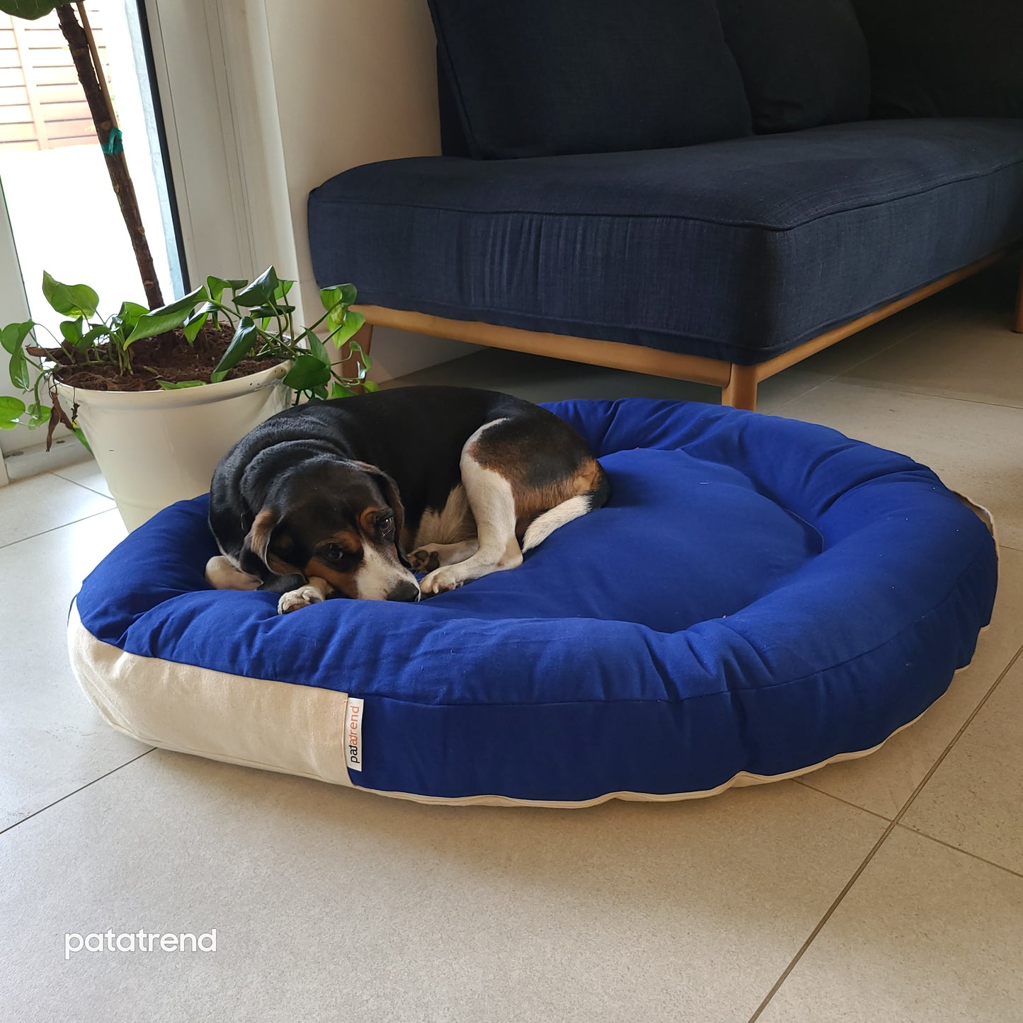 Large Hypoallergenic Nest dog bed and cradle