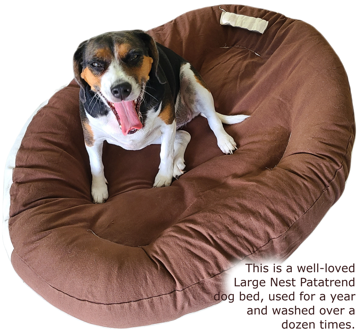 Large Hypoallergenic Nest dog bed and cradle