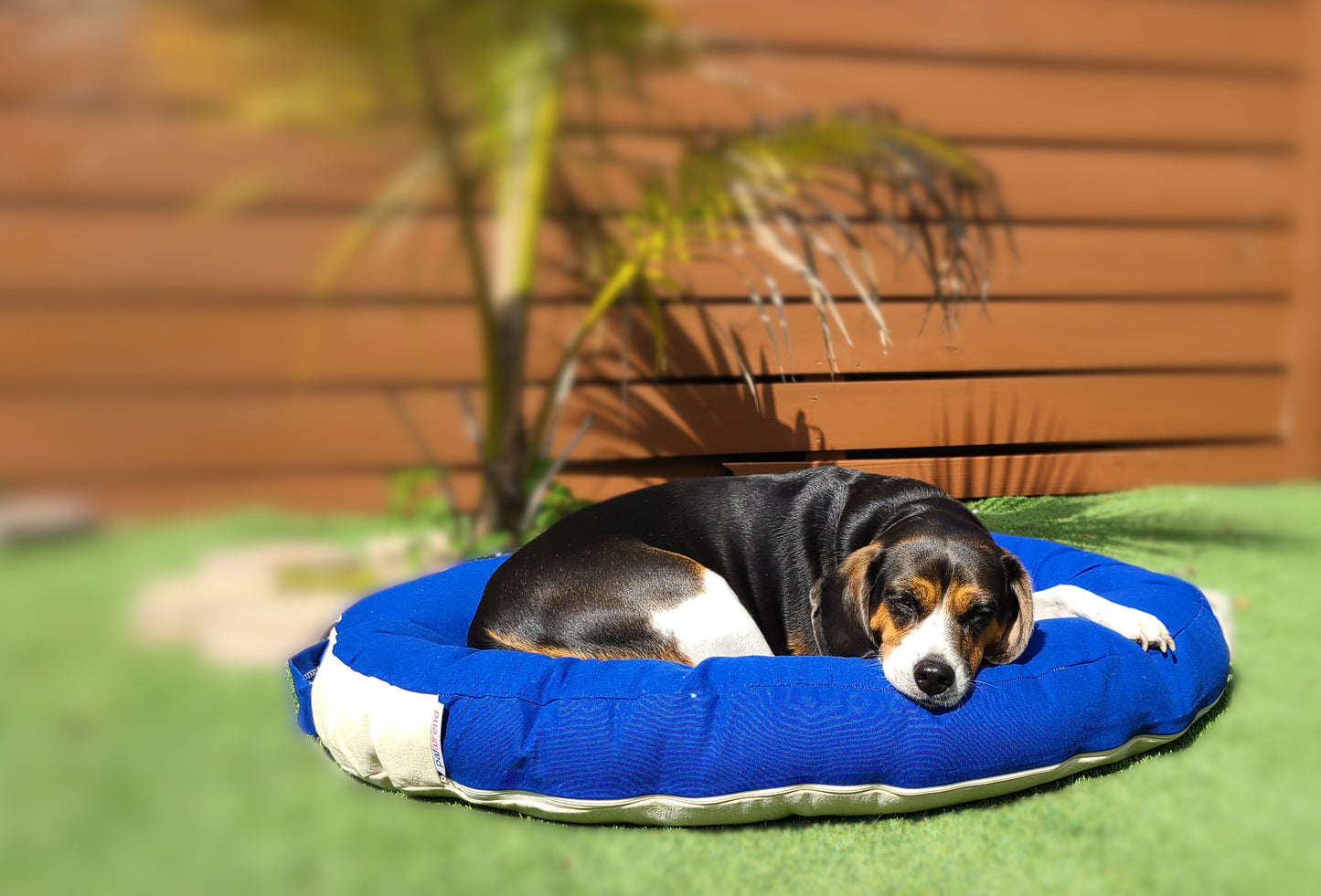 FaireSize Hypoallergenic Nest dog bed and cradle