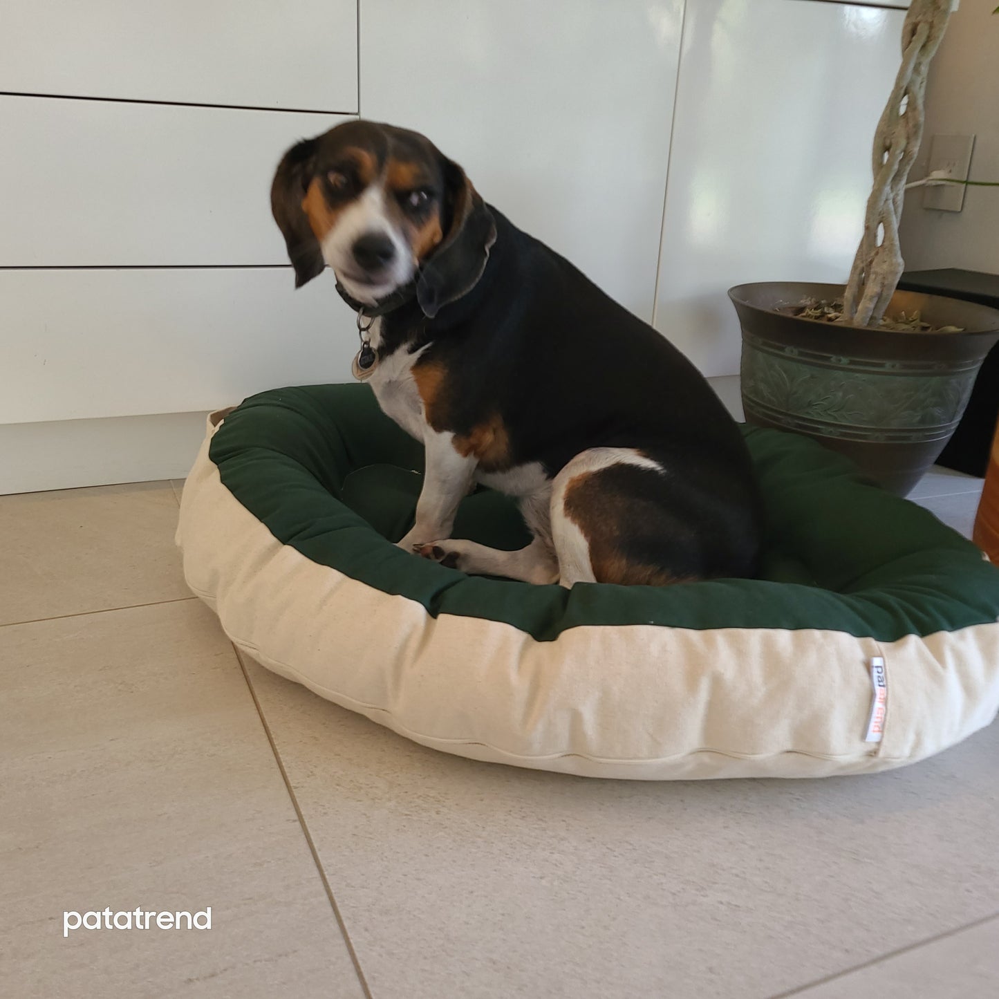 FaireSize Hypoallergenic Nest dog bed and cradle